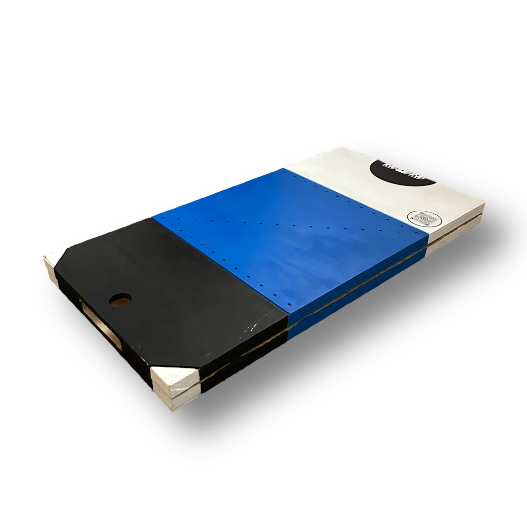ZONEZ Painted Prototype (3D Logo, Blue)